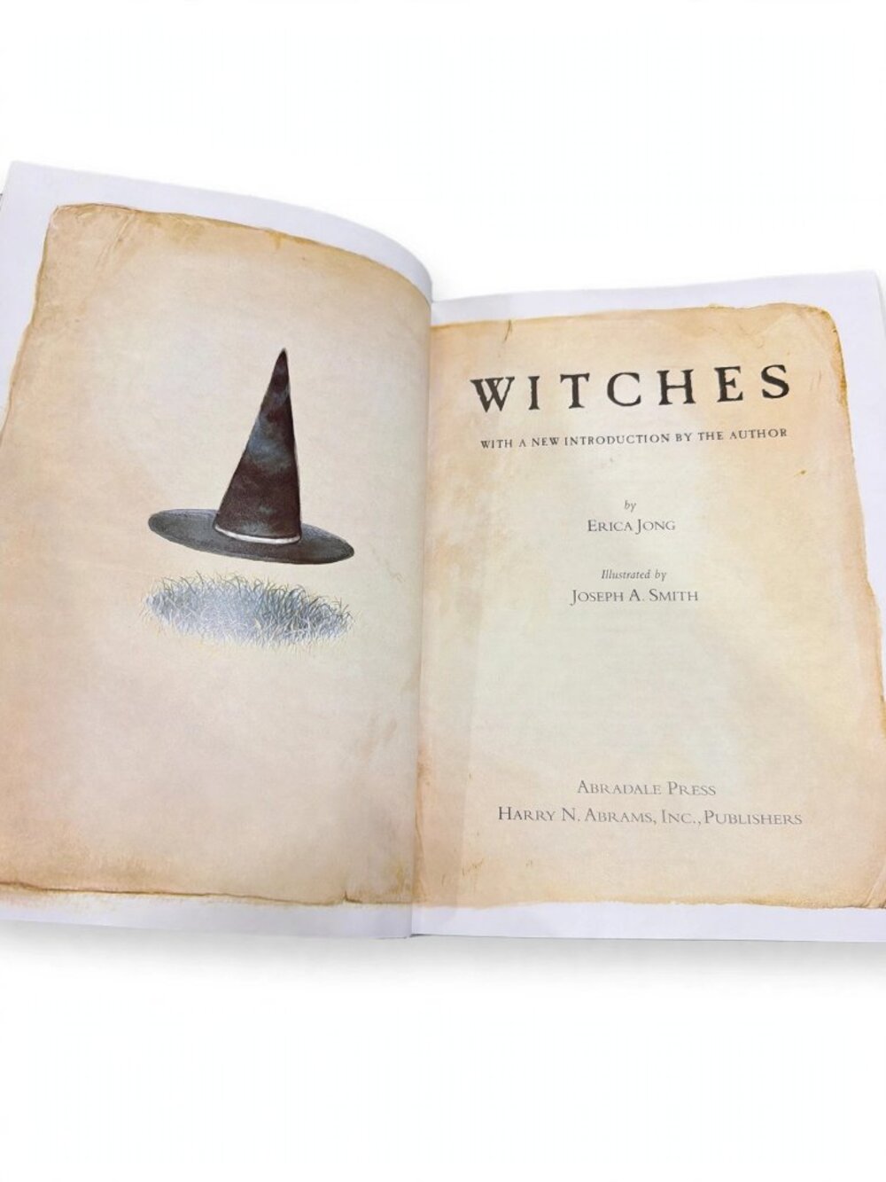 Witches Erica Jong Illustrated Hardcover Art Book Halloween Occult Coffee Table - Picture 4 of 5